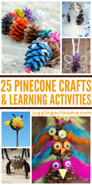 25 Pinecone Crafts and Learning Activities - Juggling Act Mama