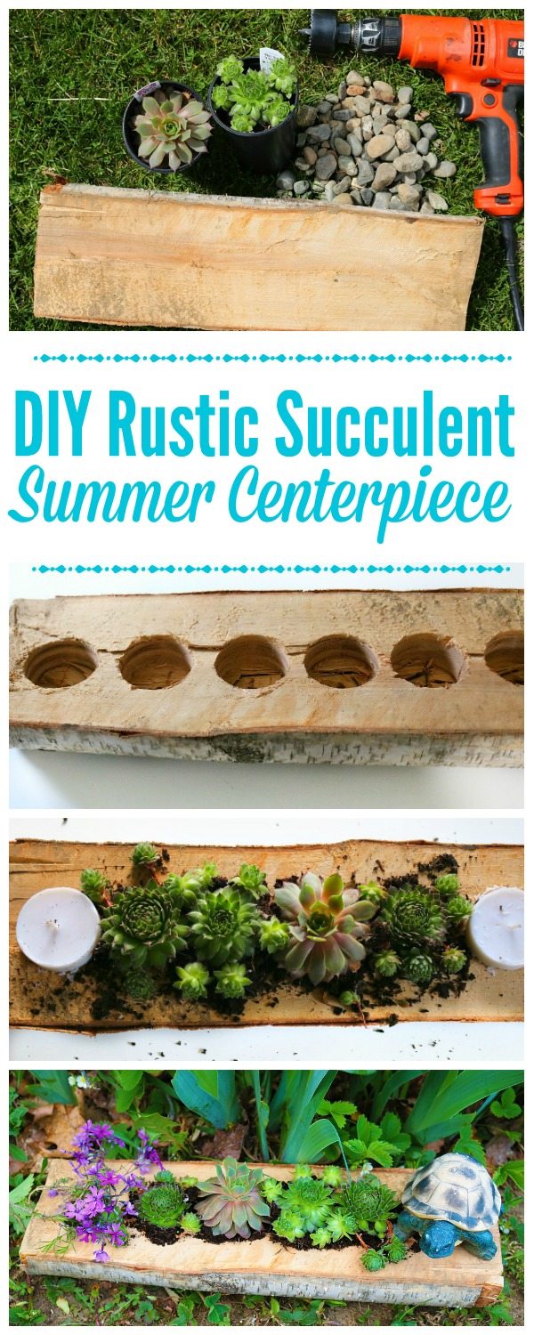 This DIY Rustic Succulent Centerpiece is a fun way to incorporate low maintenance succulent plants into your outdoor living space in just 30 minutes.