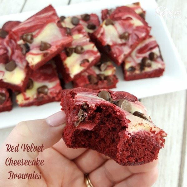 a close up of a red velvet cheesecake brownie with chocolate chips being held by a woman. The brownie has a bite taken out of it and behind it is a white plate stacked high with more red velvet cheesecake brownies with chocolate chips.