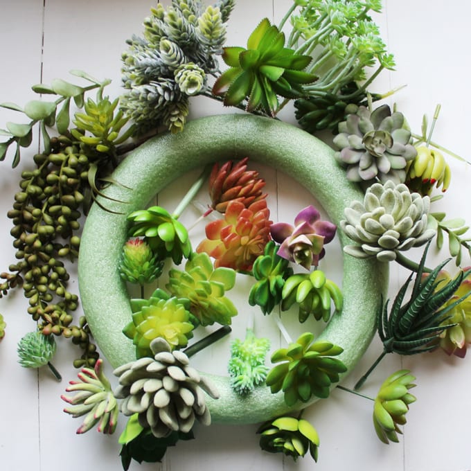 Steps for How to Make a Succulent Wreath, image includes wreath form and faux succulent plants.