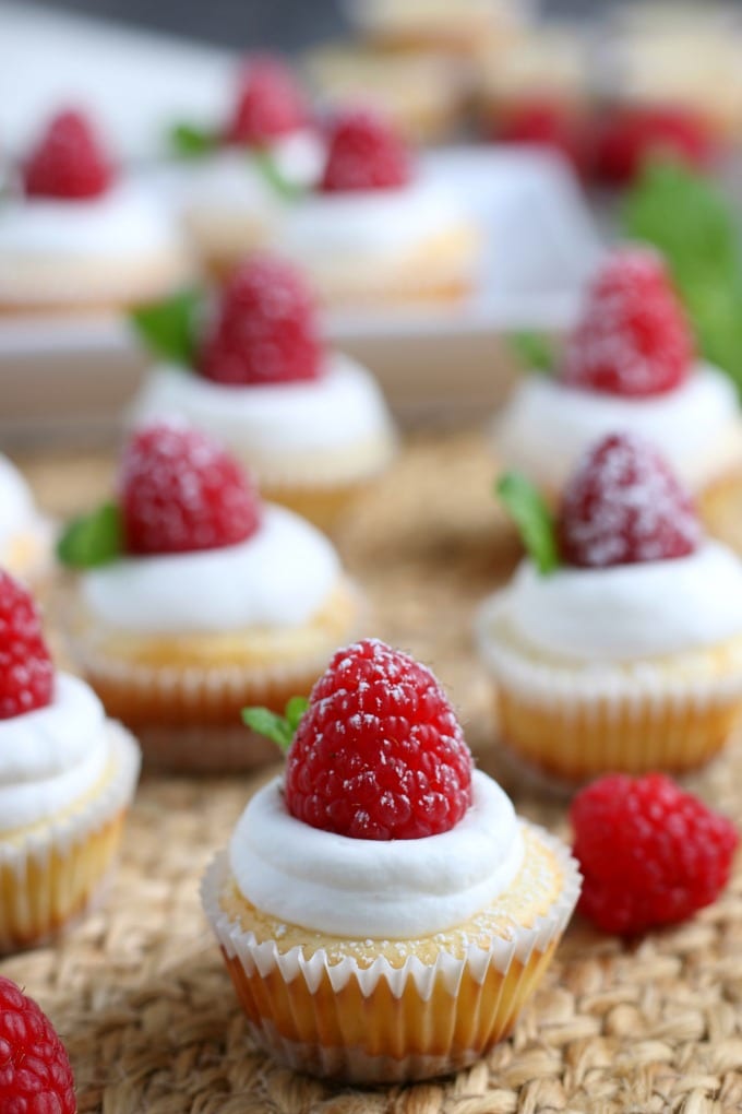 This Easy Mini Cheesecake Recipe is a rich & creamy alternative to a traditional cheesecake. It's the best individual dessert for parties and can be topped with a variety of flavors. via @jugglingactmama