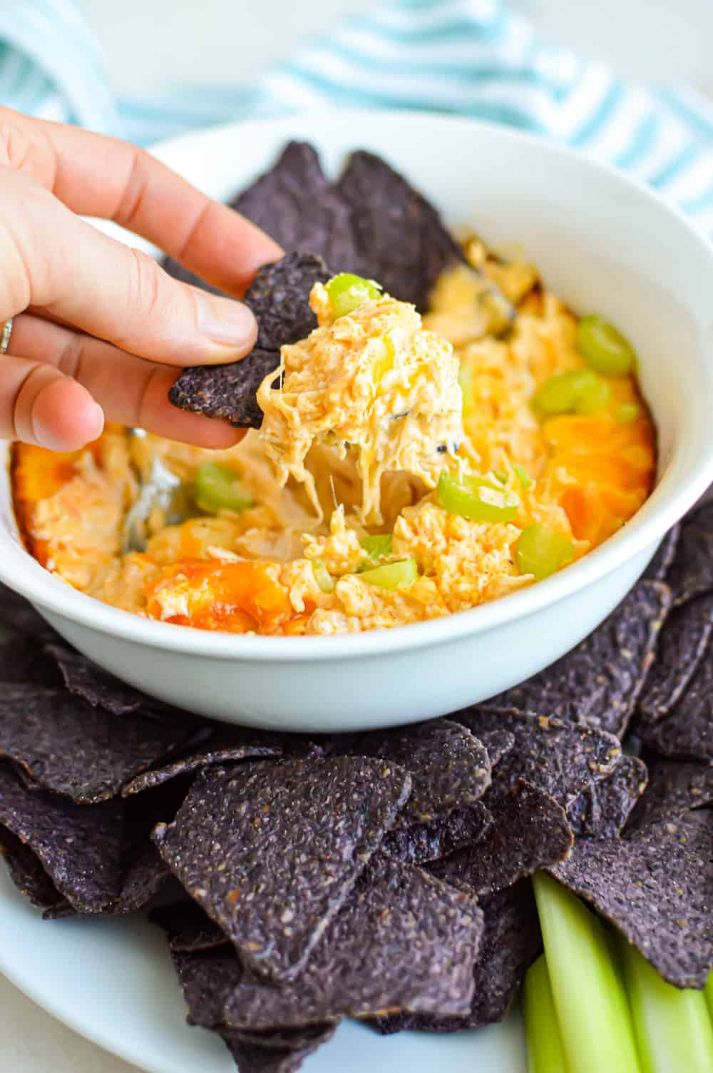 Close up of a hand scooping Creamy Buffalo Chicken Dip with blue corn chips.